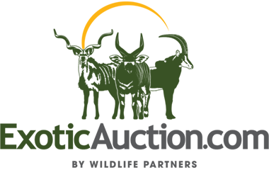 Exotic Auction